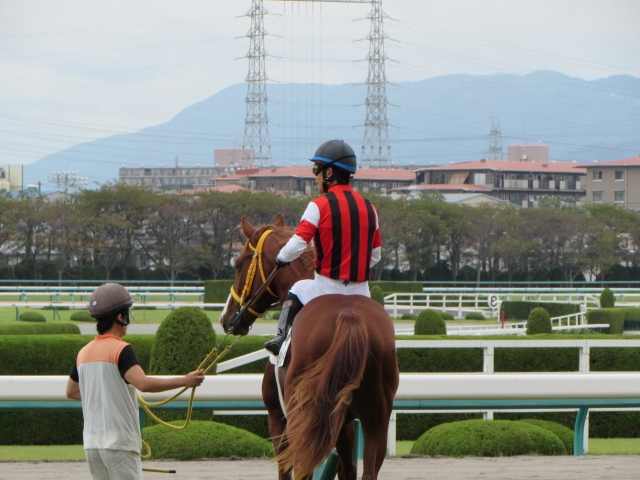 １０月５日　阪神２Ｒ　２歳未勝利戦レース直前 ウインベーネ