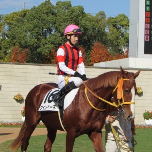 １１月２２日２R　未勝利戦　パドック３