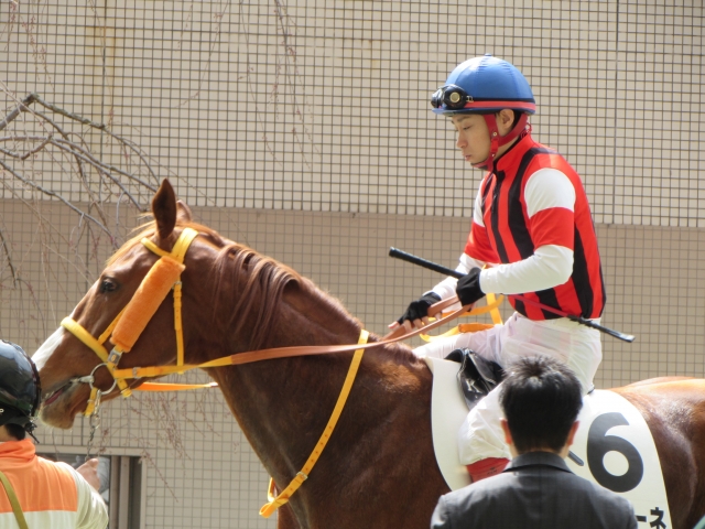 ３月２１日未勝利戦芝２４００ｍ阪神競馬場その２ ウインベーネ