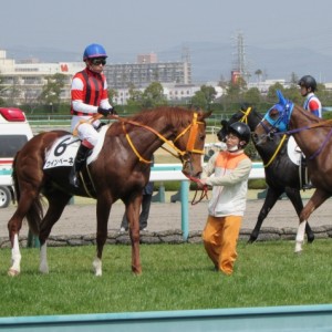 ３月２１日未勝利戦芝２４００ｍ阪神競馬場その５