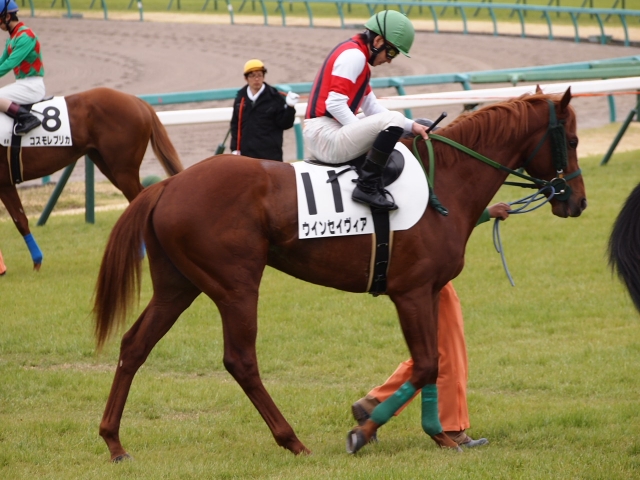 4/4中山6R② ウインセイヴィア
