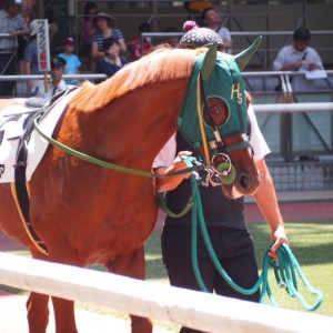 セイヴィア、初勝利