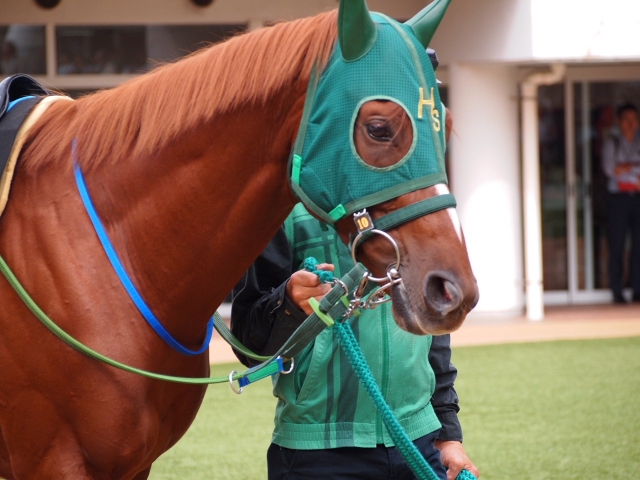 9/23(土)中山競馬場にて ウインセイヴィア