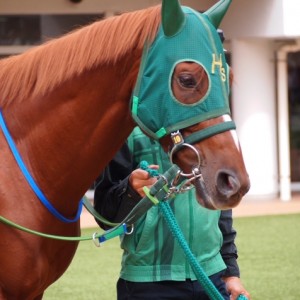 9/23(土)中山競馬場にて