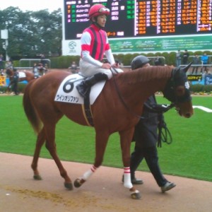 3/1 中山2R 3歳未勝利戦