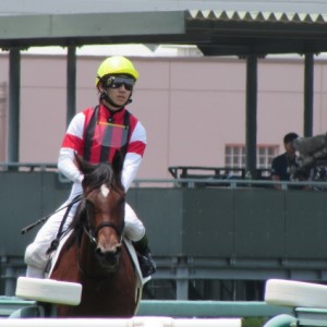 レースお疲れ様