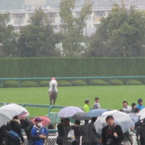 チューリップ賞　本馬場入り中