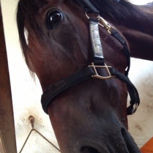 勝ち上がり後のCBFでのひと時