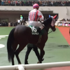 パドック馬主席から