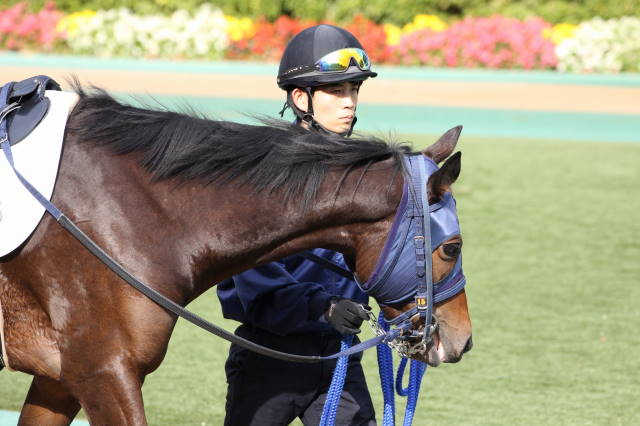 府中未勝利戦その２ ウインメアリー