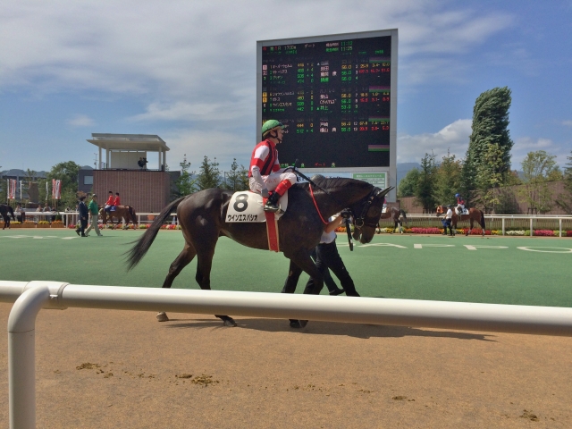 初勝利めざし　Craig Williams ウインエスパシオ