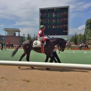 初勝利めざし　Craig Williams