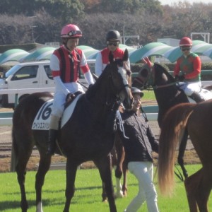 レース前の輪乗りです。