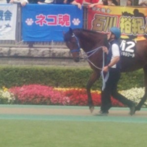 稲城特別パドック