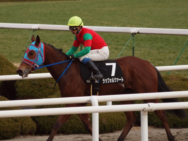 紅梅ステークス　レース後 ラッフォルツァート