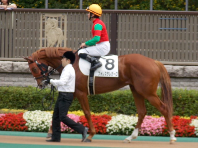 2戦目は柴田大知 フォレスタレガーロ