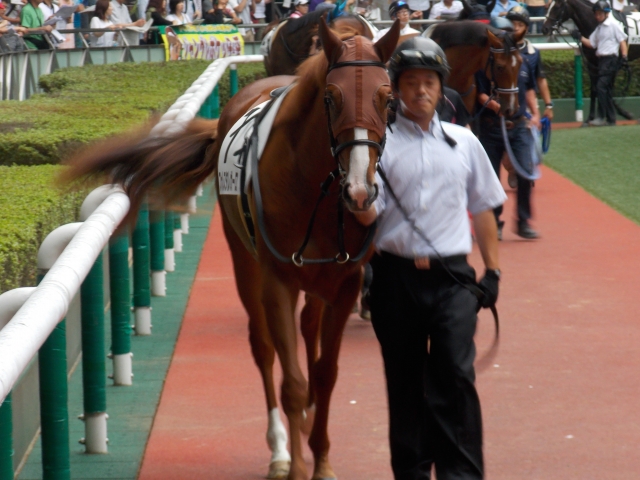 福島で出走 フォレスタレガーロ