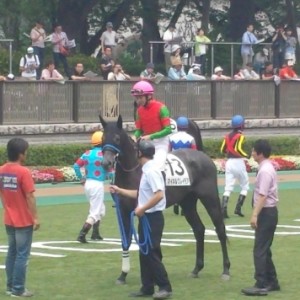 東京５Ｒ2歳新馬戦パドック