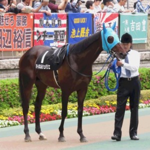 プリンシパルステークス