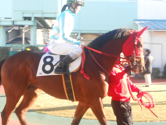 南関浦和での勇姿も虚しく敗退・・・その２ メルドオール