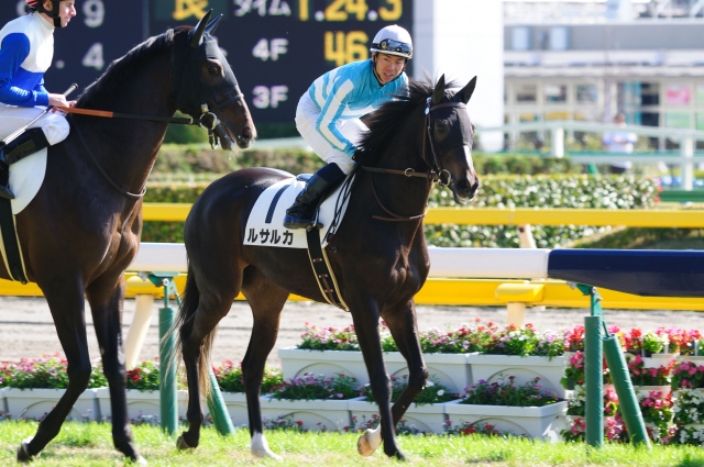 新馬戦返し馬 ルサルカ