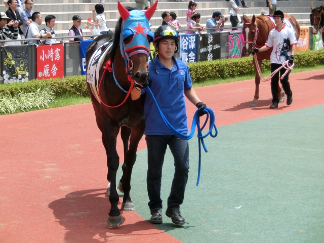 7/12未勝利戦パドック ウインエアフォース