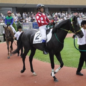 新馬戦パドック