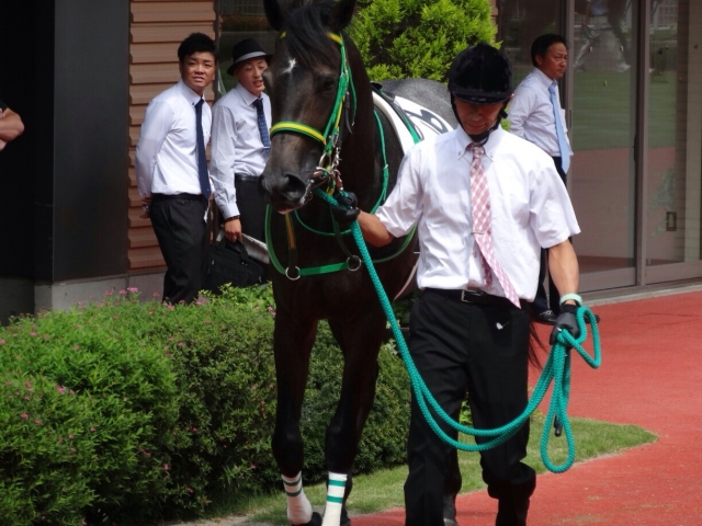 新馬戦パドック ストリートキャップ