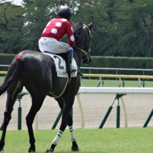 新馬戦