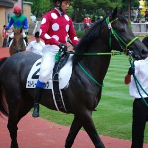 新馬戦