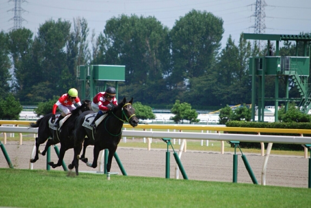 新馬戦 ストリートキャップ
