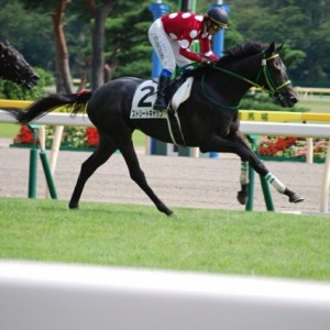 新馬戦