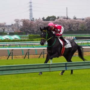 3歳500万以下