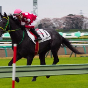 3歳500万