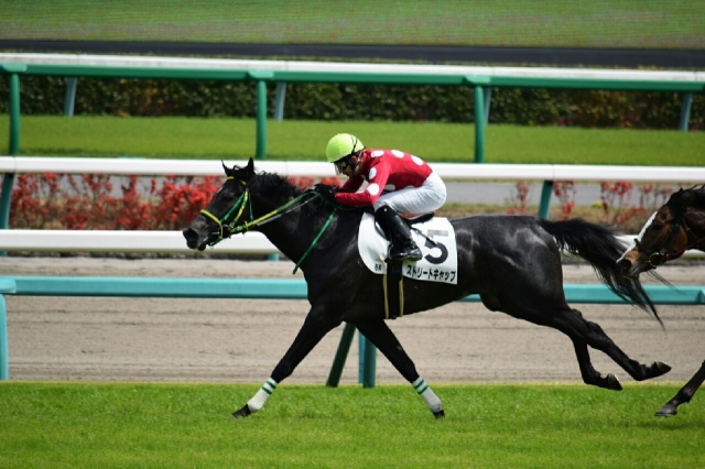 祝二勝目 ストリートキャップ