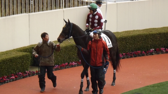 第1回小倉競馬4日目第５Ｒ新馬1800Ｍパドック パンテーラネロ