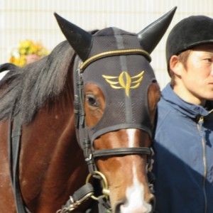 １１月２２日６R　新馬戦　パドック