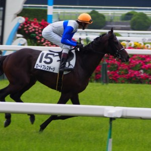 2015年５月京都未勝利戦返し馬