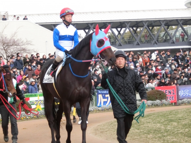 ３歳未勝利パドック ロードヘラクレス