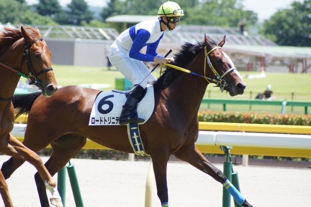 新馬戦 ロードトリニティ