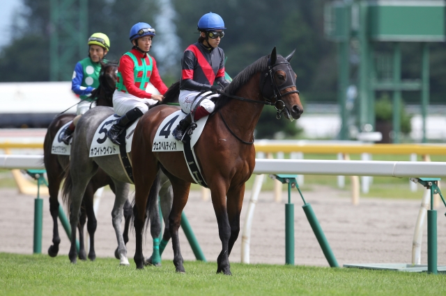 2014年2回新潟9日目5R 2歳新馬 ヴェスペルティリオ