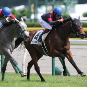 2014年2回新潟9日目5R 2歳新馬