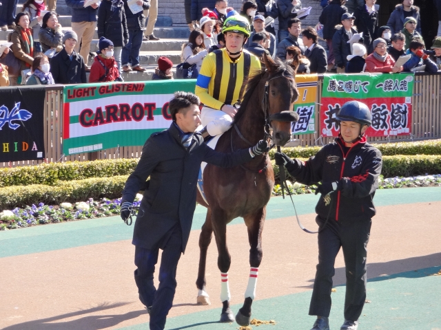 未勝利戦パドック フロレットアレー