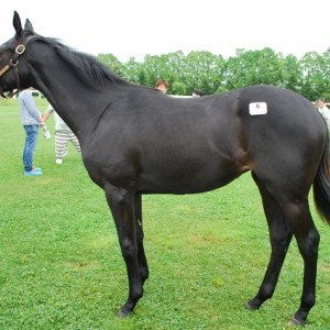 社台ツアーにて