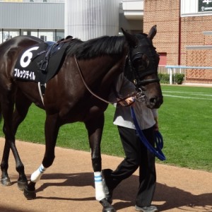 湯川特別パドック