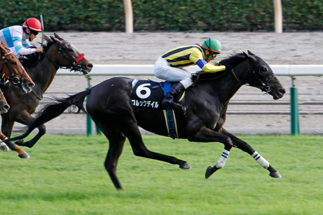 東京　山中湖特別 ブルックデイル