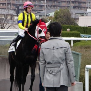 2015/3/15 阪神未勝利 芝1400 本場馬入場