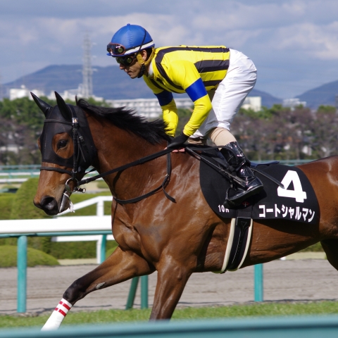 山陽特別返し馬 コートシャルマン