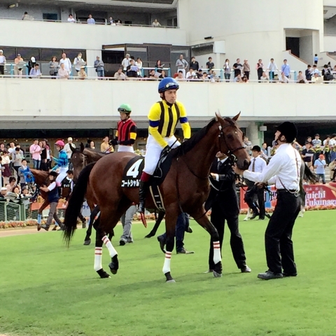 京都9R りんどう賞 コートシャルマン