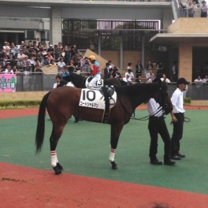 中京競馬場 メイクデビュー